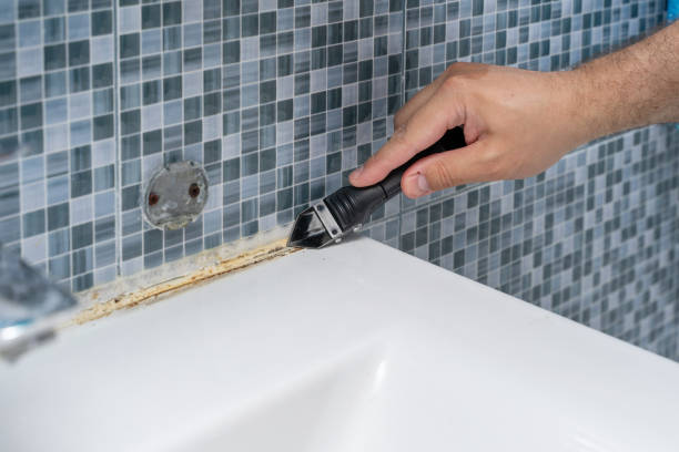 Best Commercial Mold Remediation in Bolindale, OH