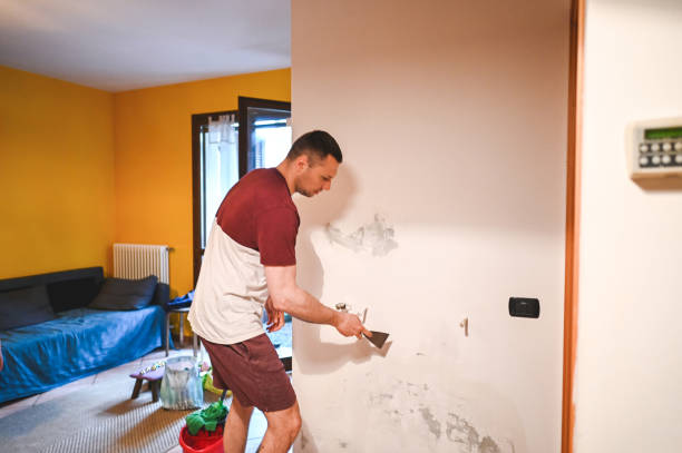 Best Post-Flood Mold Remediation in Bolindale, OH